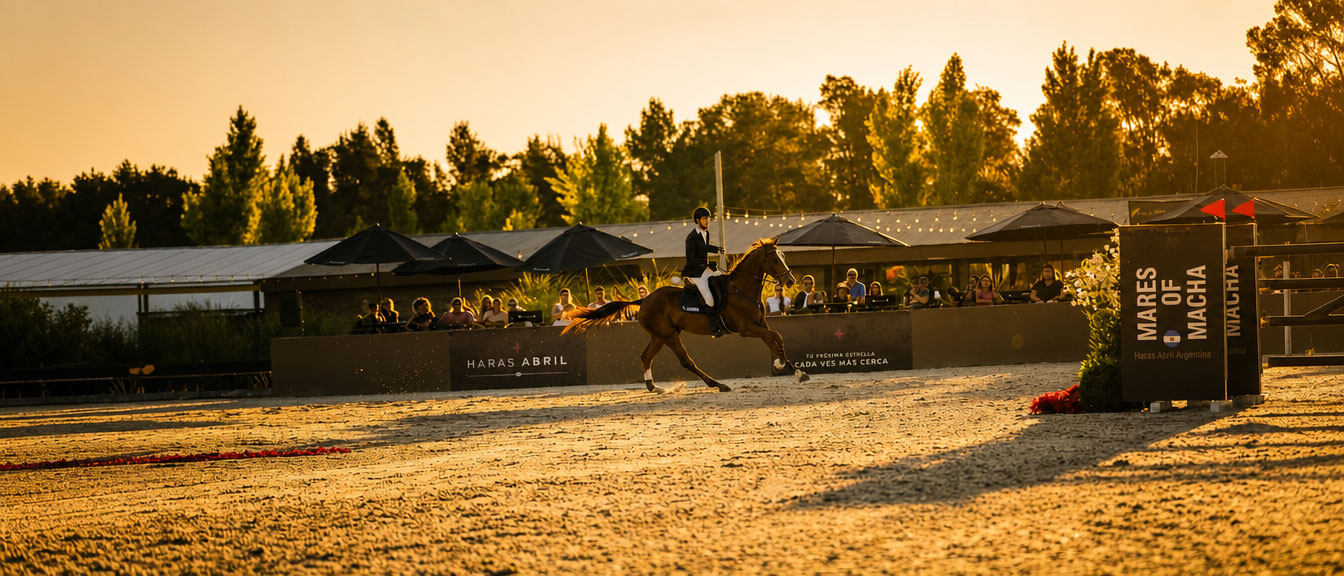 Haras Abril Blog